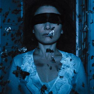 Bilder The Duke Of Burgundy