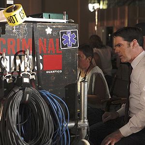 Bilder Thomas Gibson