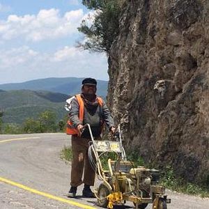 Bilder La Delgada Línea Amarilla