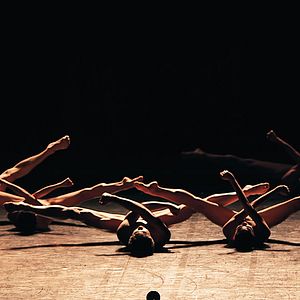 Bilder Comme ils respirent