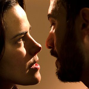 Bilder A Floresta Que Se Move