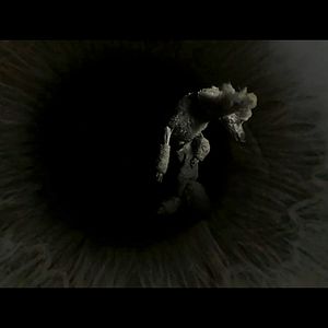 Bilder The Visit - Eine außerirdische Begegnung