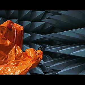 Bilder The Visit - Eine außerirdische Begegnung