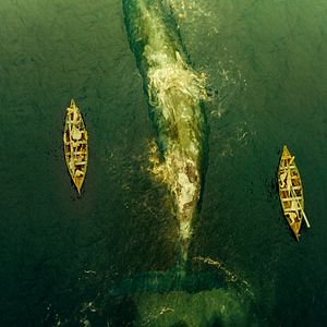 Bilder Im Herzen der See