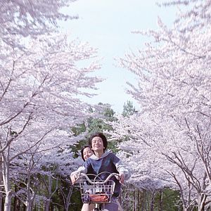 Bilder Ohshirô Maeda