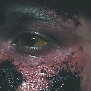 Bilder Lake Fear - See der Angst