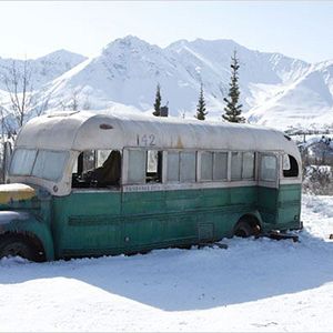 Bilder Into the Wild