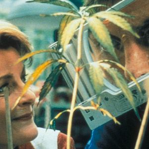 Bilder Brenda Blethyn