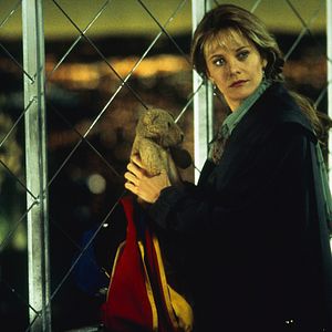 Bilder Schlaflos in Seattle