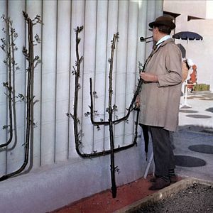 Bilder Jacques Tati