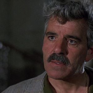 Bilder Tödliche Nähe