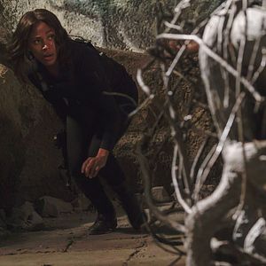 Bilder Nicole Beharie