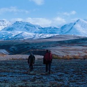 Bilder Å vende tilbake