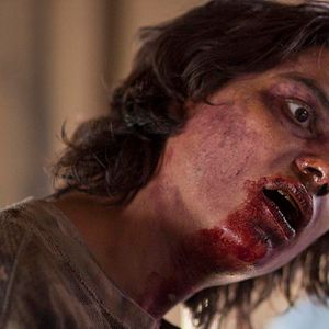 Bilder Wind Walkers - Jagd in den Everglades