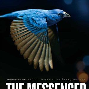 Bilder The Messenger