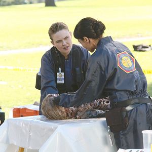 Bilder Tamara Taylor