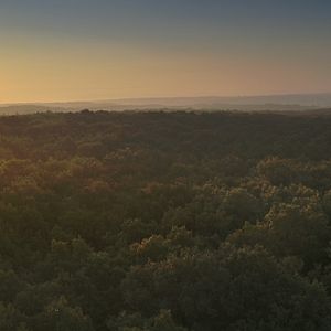 Bilder Unsere Wildnis