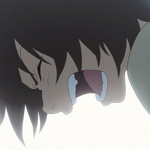 Bilder Der Junge und das Biest