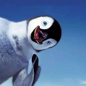 Bilder Happy Feet