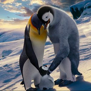 Bilder Happy Feet