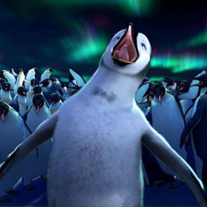 Bilder Happy Feet