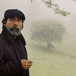 Bilder Rüzgarın Hatıraları