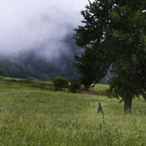 Bilder Rüzgarın Hatıraları