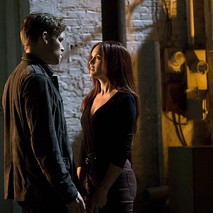 Bilder Rebecca Breeds