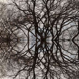 Bilder Poétique du cerveau