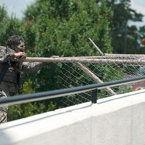 Bilder The Walking Dead
