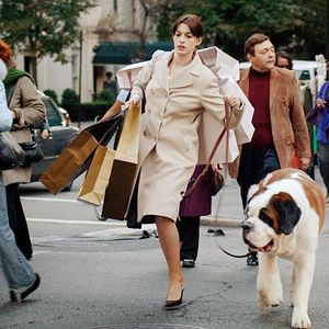 Bilder David Frankel