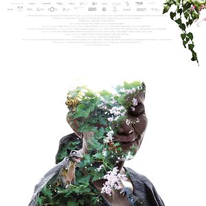 Bilder Cemetery Of Splendour