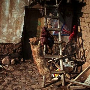 Bilder El Corral y el Viento