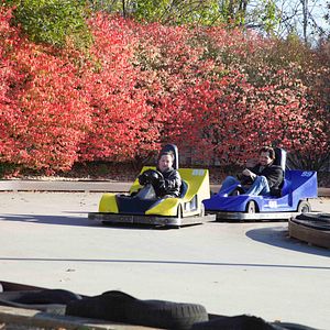 Bilder Where Hope Grows