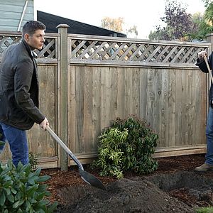 Bilder Jensen Ackles