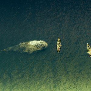 Bilder Im Herzen der See