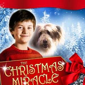 Bilder The Christmas Miracle of Jonathan Toomey