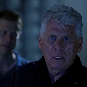 Bilder 2010: Moby Dick