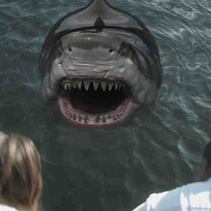 Bilder Zombie Shark - The Swimming Dead