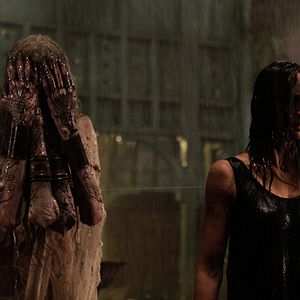 Bilder Sarah Wayne Callies