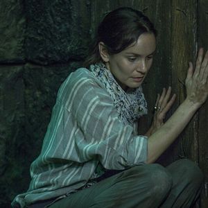 Bilder Sarah Wayne Callies