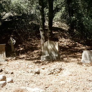 Bilder How To Catch A Monster