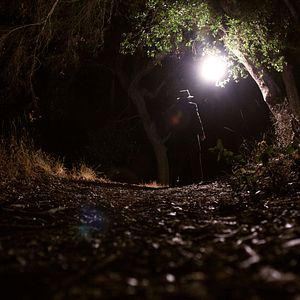 Bilder How To Catch A Monster