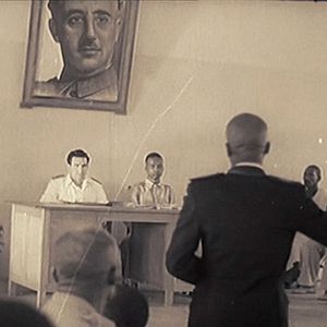 Bilder Un día vi 10.000 elefantes