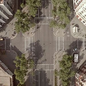 Bilder Un día vi 10.000 elefantes