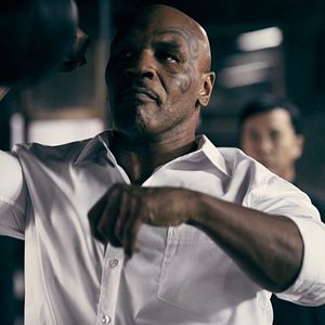 Bilder Mike Tyson
