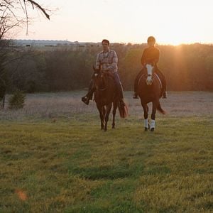 Bilder Mein Pferd Holly - Die Liebe meines Lebens