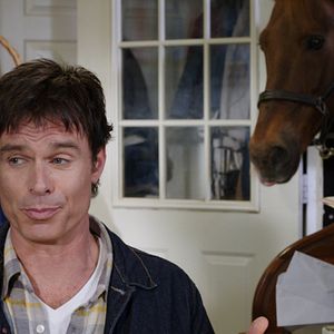 Bilder Mein Pferd Holly - Die Liebe meines Lebens