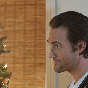 Bilder Mein Pferd Holly - Die Liebe meines Lebens