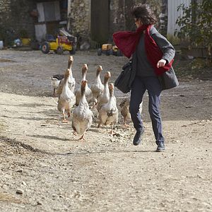 Bilder Der Landarzt von Chaussy